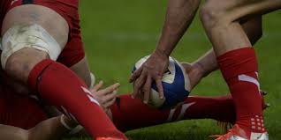 Photo Afrique du Sud - Argentine  suivre en direct Tournoi de Rugby ...