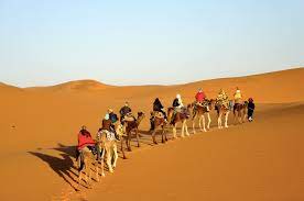 Private and comfortable tents are provided with mattresses, blankets. Camel Trekking Merzouga And 1 Night In Camp Dahbi Morocco Tours