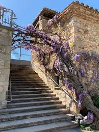 Finqualis presenta en exclusiva esta espectacular finca en bigues i riells del fai, a escasos 40 minutos de barcelona. Acceso A La Parte Superior Picture Of Can Traver Restaurant Bigues I Riells Tripadvisor