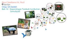 Ilmuwan mengungkap lubang itu akibat dari aktivitas vulkanik kuno di planet ini. Geografi Kepentingan Tumbuh Tumbuhan Semulajadi By Syaz Liyana On Prezi Next