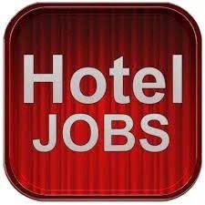 30 Best Jobs In Qatar Images In 2020 Job Dubai Uae Degree Holder