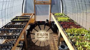 This greenhouse is one of the most effective diy mini indoor these are the best diy mini indoor greenhouses. Cattle Panel Greenhouse Shelving For Potting Bench Youtube