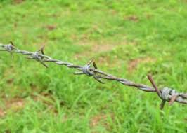 Maybe you would like to learn more about one of these? 15 Best Things To Do In Brownsville Texas