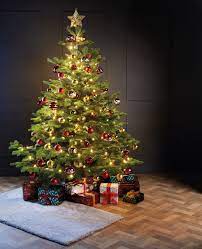 Affordable and search from millions of royalty free images, photos and vectors. Aldi Will Have Christmas Trees On Sale From Thursday The Edinburgh Reporter