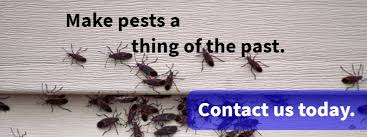 They have worked hard in our country to provide you the greatest of. Pest Control Nashville What To Expect From Omega Pest Control