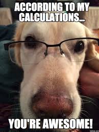 No no no you re awesome make a meme. Awesome Memes