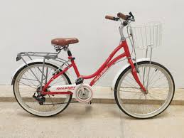 Raleigh Venture 1.0 Red Ladies Vintage Cruiser Style City Bike Bicycle Red  with basket and pannier rack, Sports Equipment, Bicycles & Parts, Bicycles  on Carousell