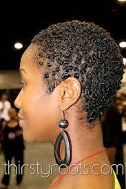 African American Natural Hair Pictures Short Hair Twist Styles Natural Hair Pictures Hair Twists Black