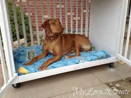 Maybe you would like to learn more about one of these? 31 Creative Diy Dog Beds You Can Make For Your Pup