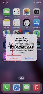 Cara Mengatasi Mode Pengembang Diperlukan di iPhone/iPad | PUKEVA