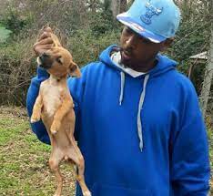 Mississippi Man Arrested After Photos Of Him Reportedly Holding Dogs By Ear Tail Go Viral Al Com