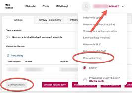 Переваги та недоліки для іноземця. Jak Zamknac Konto W Millennium Szybko I Wygodnie Przez Internet Zamknijkonto Pl