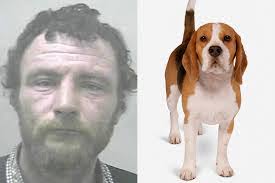 Lelaki Ditahan Adakan Seks Dengan Anjing Peliharaan