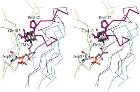 Самые новые твиты от creg (@cregstivn): The Crystal Structure Of Creg A Secreted Glycoprotein Involved In Cellular Growth And Differentiation Pnas
