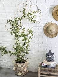 Pin By Nikki B On Jardin Indoor Vines Wall Trellis Indoor Trellis
