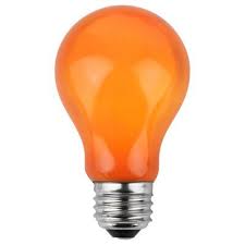 Wintergreen Lighting 25w Orange 130 Volt Light Bulb Pack Of 25 Aesthetic Objects Light Bulb Shades Of Orange