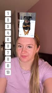 Easy polework exercises you can do with your horse 🐴☺️ #polework #in...