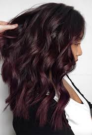 It's a very striking choice for people with cool, fair or medium complexions and there are several ways to lift dark brown hair to a lighter brown color. Your Plum Hair Color Guide 57 Posh Plum Hair Color Ideas Dye Tips
