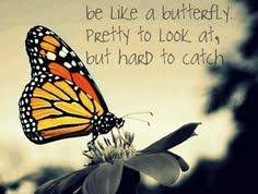 Monarch Butterfly Quotes Google Search Butterfly Quotes She Quotes Mixed Feelings Quotes I have personally found many of these quotes very useful in my life and i hope you do to. pinterest