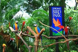 Jurong Bird Park Where Colour Lives Singapore Hotels Singapore Map Singapore