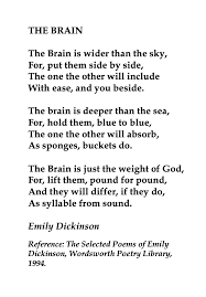 Emily Dickinson The Brain Dickinson Poems Plath Poems Emily Dickinson Poems