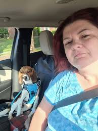 Meet 1-year-old lab/pointer mix Ranger