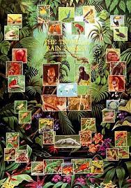 The largest of these are found in south the amazon rainforest — the largest tropical rainforest in the world — is also home to the largest collection of living plants and animals on earth. Tropical Rainforest Animals Poster 27x39 Rainforest Animals Tropical Rainforest Rainforest