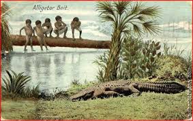 Black Babies Alligator Bait Alligator Bait American History Facts Black Babies Alligator