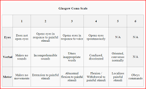 Dacota Manual English Glasgow Coma Scale En Route