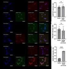 Image result for tbn:oICZ-UHpUGgp-M::files.nireblog.com/blogs/familiaschwingel/files/familias2.bmp