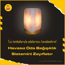 Uzun Tuz Lamba Uzuntuzlamba Pinterest Te