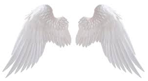 Black And White Angel Wings Png Angel Wings Png Angel Wings Png Download Image 1 Angel Wings Png Wings Png Angel Wings Tattoo