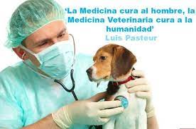 El inicio de los estudios superiores en el país, el inicio de actividades asociadas a la veterinaria o la fundación de gremios veterinarios o sociedades. Dia Del Veterinario En Cuba