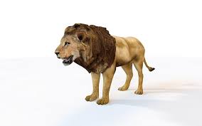 Lion 3d Model On Cubebrush Co In 2020 Lion Sculpture 3d Model Lion