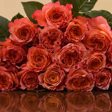 An image of a rose is a decor accent that brings warmth and makes a space more inviting. Free Spirit Garden Roses