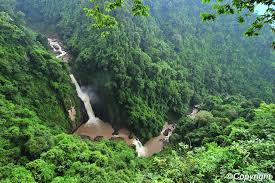 If you have photos, descriptions, contact information, social media handles, etc. Khao Yai National Park B B Forest Hill Khao Yai