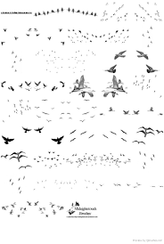 Birds Of The Same Feather Flock Together Meaning In Tagalog 42 Birds Of A Feather Brushes Ps Tree Photoshop Architecture Graphics Photoshop