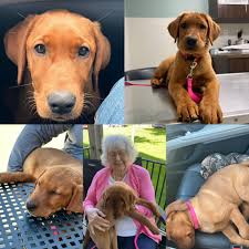 Annie's first birthday