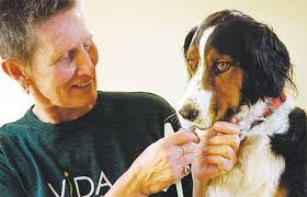 Pets will say “fangs a lot” for regular dental hygiene