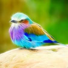 When I Pick The Herbs Myself I Always Say A Prayer And Make My Offering Of Always Say A Prayer And Make An O Beautiful Birds Animals Beautiful Pretty Birds