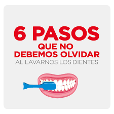 6 Pasos Que No Debemos Olvidar Al Lavarnos Los Dientes Phb