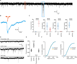 Though just plug the detector into a wall and wait to receive updates on the gas levels in your home. Frontiers Ketamine Within Clinically Effective Range Inhibits Glutamate Transmission From Astrocytes To Neurons And Disrupts Synchronization Of Astrocytic Sics Cellular Neuroscience