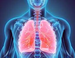 Maybe you would like to learn more about one of these? Free Ceus Valve Assessment Application Passy Muir