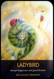 New Release Archangel Animal Oracle Cards By Diane Cooper Lady Bird Accept Happiness Good Angel Tarot Cards Angel Oracle Cards Oracle Cards