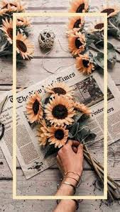 Check spelling or type a new query. 720 Awesome Wallpapers Ideas Iphone Wallpaper Wallpaper Backgrounds Cute Wallpapers