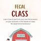Fecal Class - Learn How to do your own fecals for event image