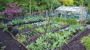 We did not find results for: The 6 Most Cost Effective Vegetables To Grow In Your Garden