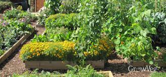 Maybe you would like to learn more about one of these? Choosing A Location For Your New Vegetable Beds