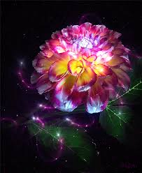 Share the best gifs now >>> Flowers Gifs Beautiful Bouquets Blossoming Buds