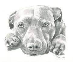 Pin On Dogs My Artwork